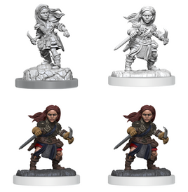 D&D Nolzur's Marvelous Miniatures: Half-Elf Rogue Female