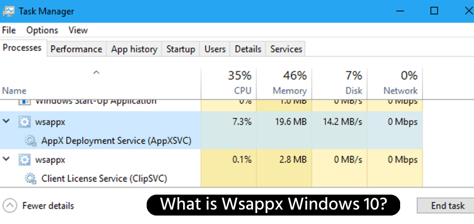 What is Wsappx Windows 10?