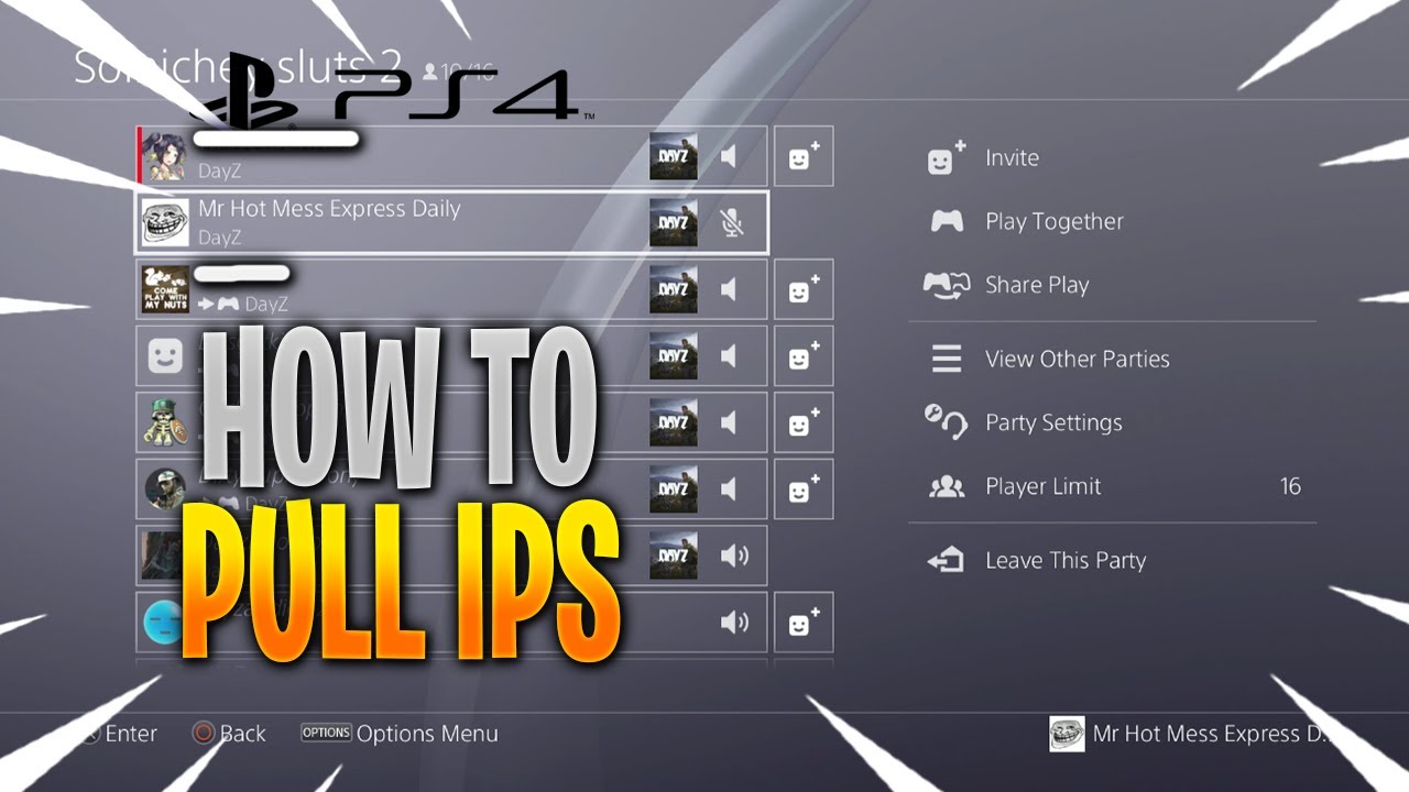 Ps4 Ip Puller