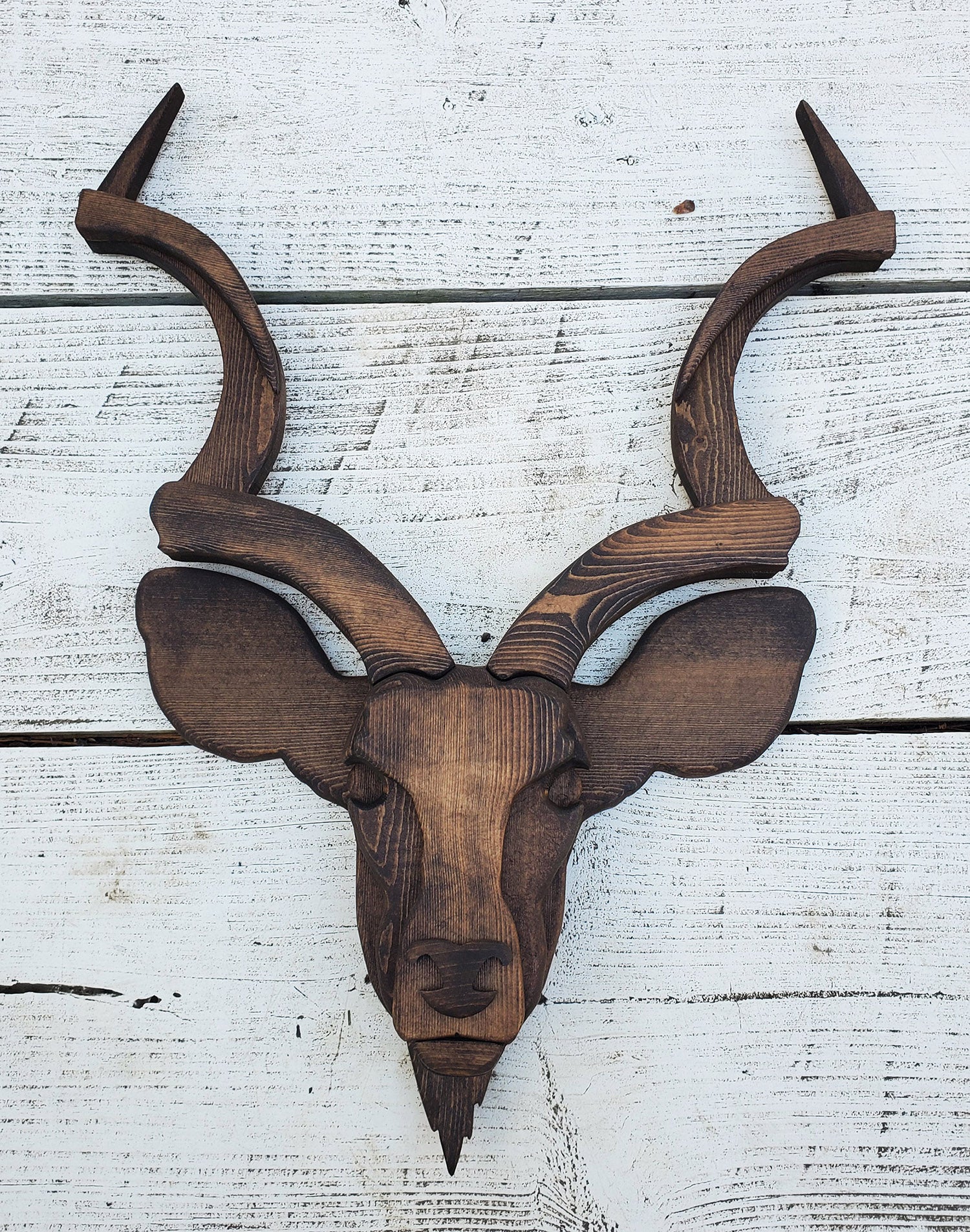Kudu Bust