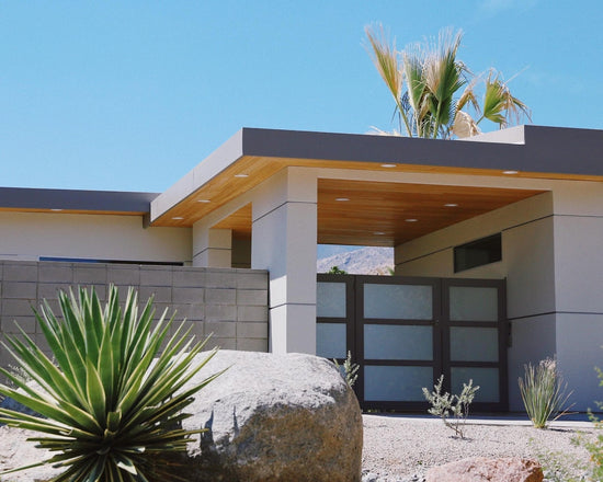 Modern house with cactus