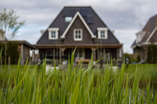 House behind green grass