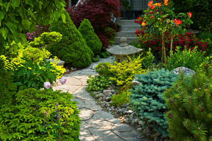 How to Create a Landscape Plan