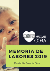 Memoria de Labores 2019