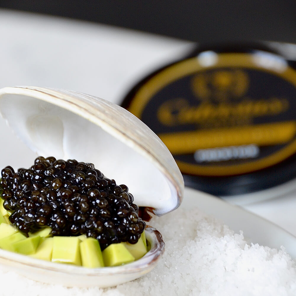 Caviar Black Pasta kit
