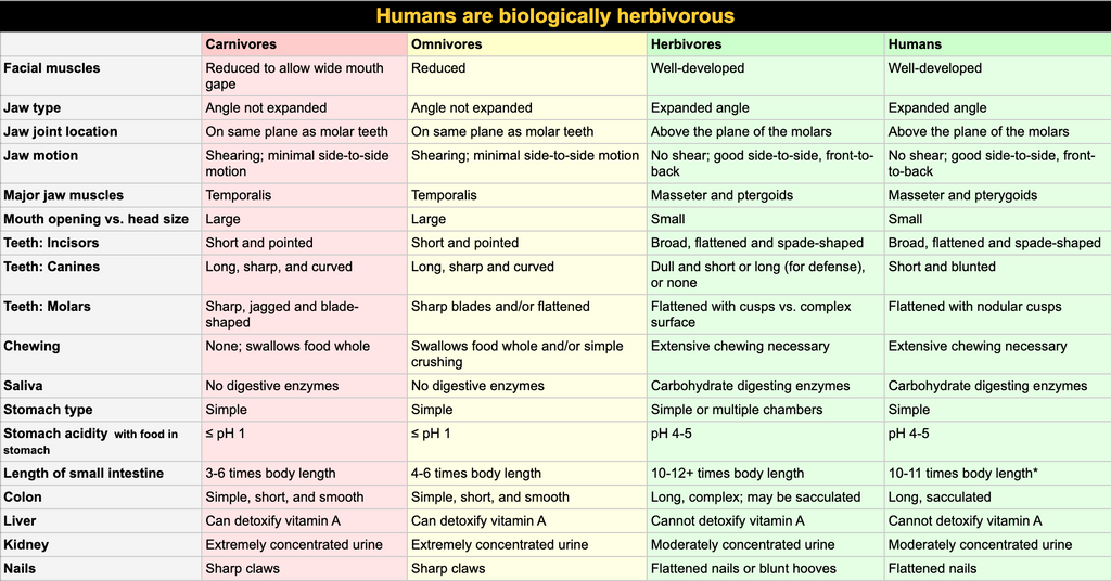 Biological structure of humans