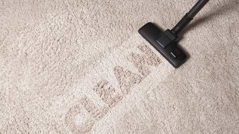 clean your carpet with an extractor