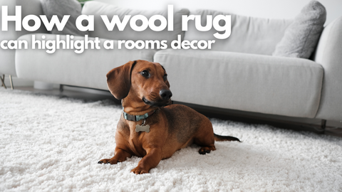 how a wool rug can highlight your rooms decor