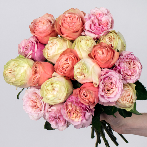 Growing Garden Rose Bouquet - FlowerFix product image