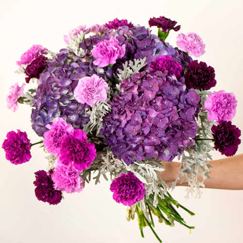 Starry Sky Purple Carnation Bouquet | FlowerFix