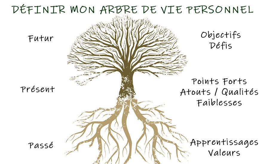 Arbre de Vie Dessin Facile