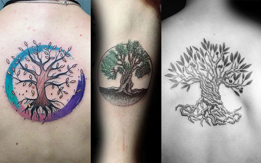 tatouage arbre de vie olivier