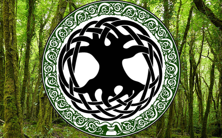 dessin arbre de vie celte