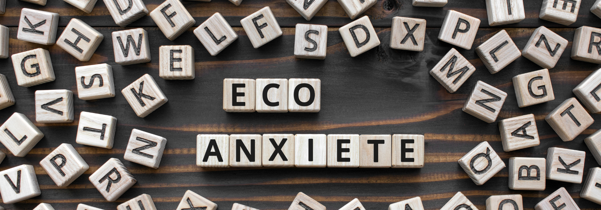 comment-gerer-eco-anxiete