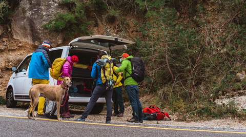 People preparing for a climb next to a van. A big hound watches over.