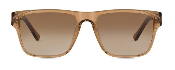 Winston Dark Havana with Brown Lenses FINLAY | Sunglasses