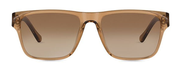 Winston Dark Havana with Brown Lenses Sunglasses | FINLAY