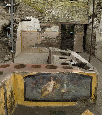 Pompeii eruption excavations