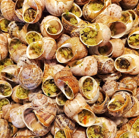 escargots en sauce prix de vente