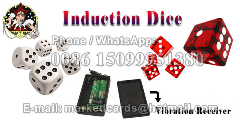 Dice Cheating Device Magic Induction Dice