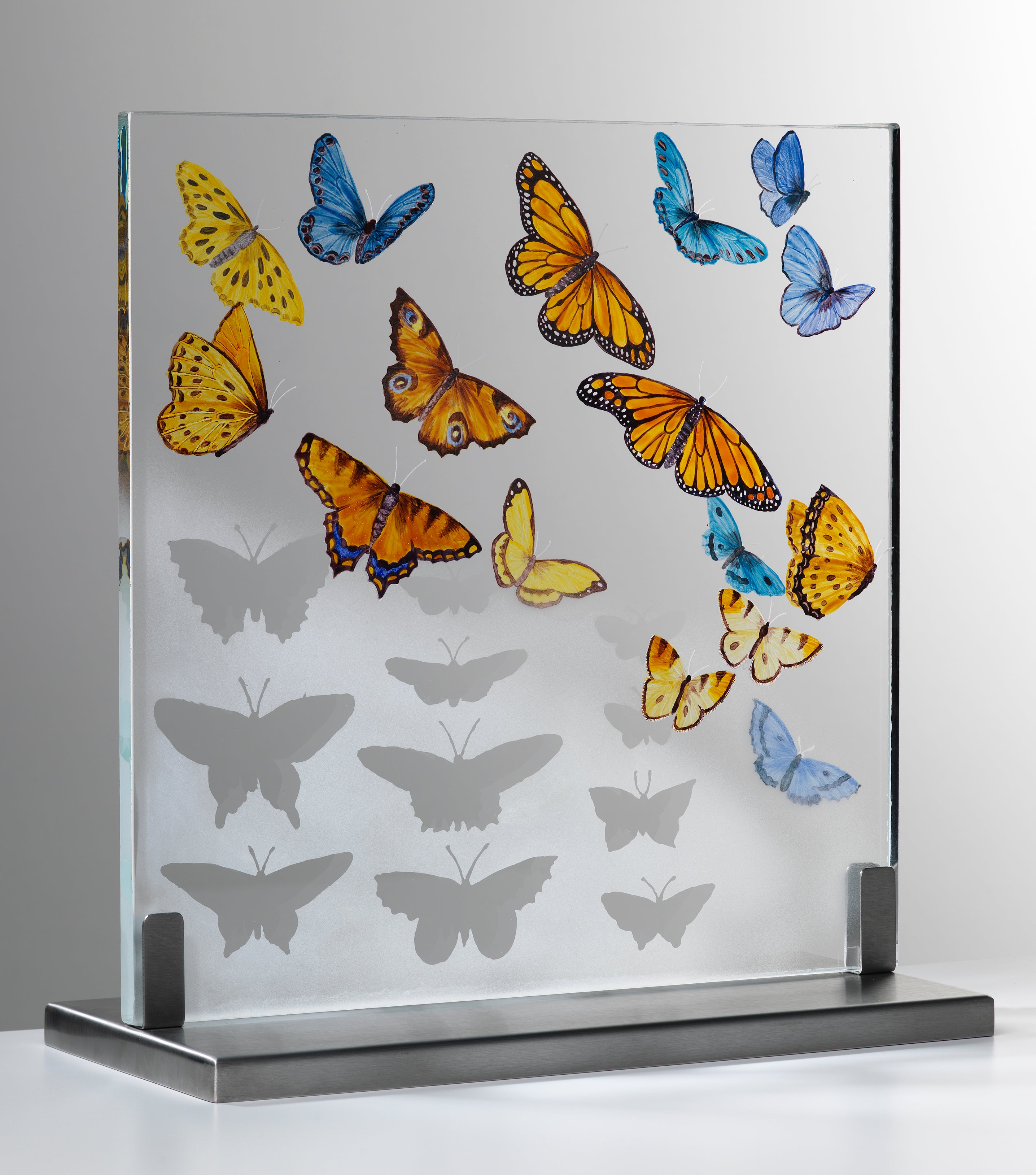 Butterfly Collection