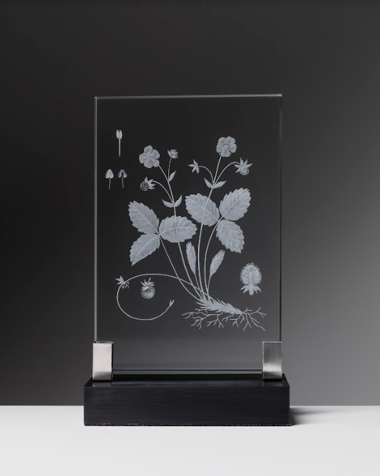 Alison Kinnaird, Wild Strawberry, Wheel engraved low iron glass, acrylic and steel stand, £3,000