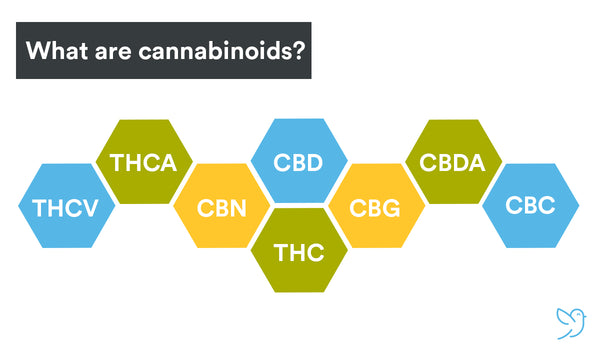 cannabinoids