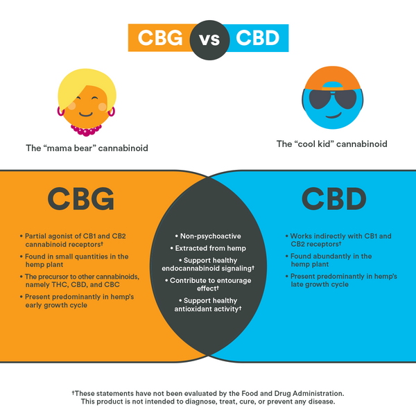 CBG vs CBD infographic