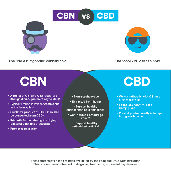 CBN vs. CBD infographic