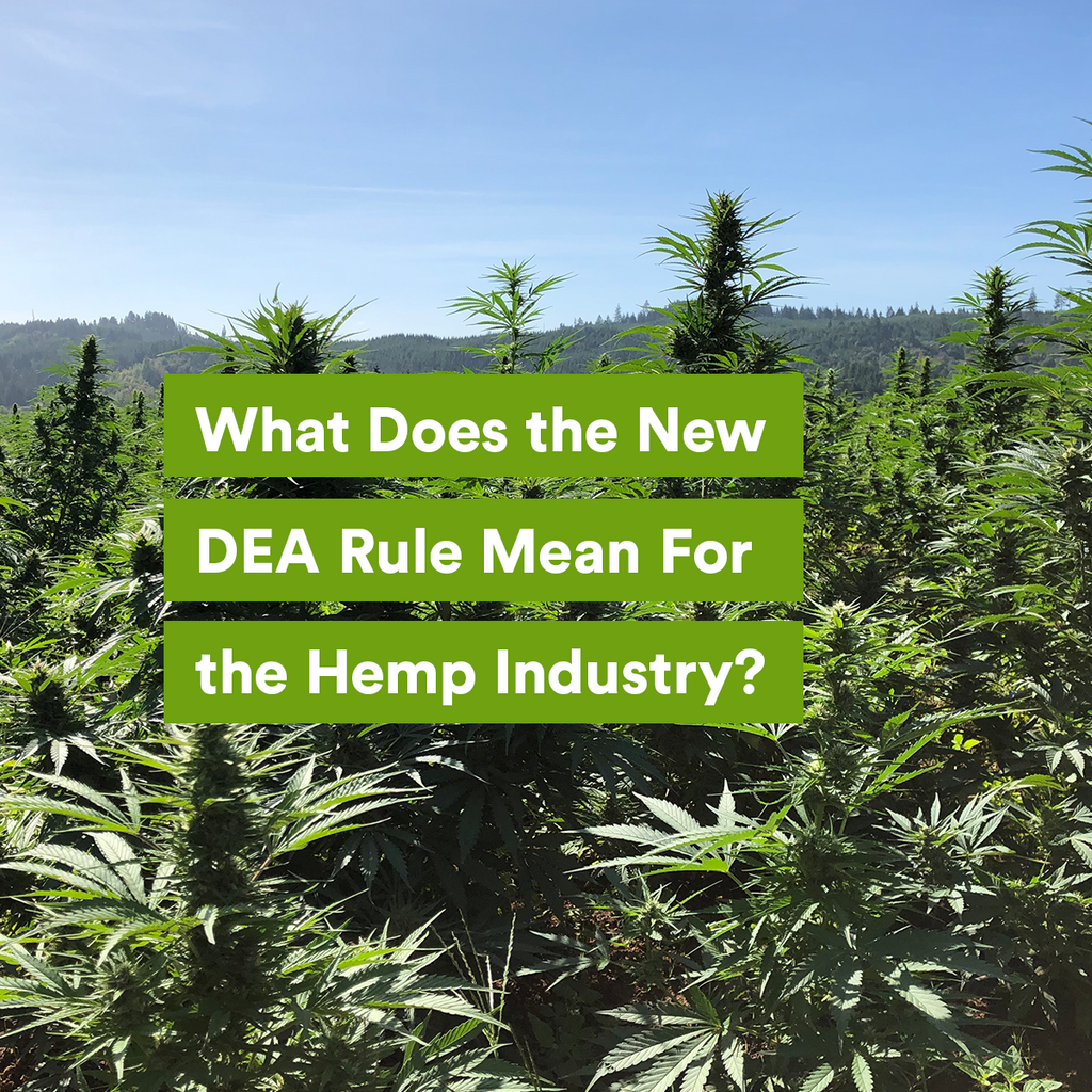 What Does the New DEA Rule Mean For the Hemp Industry? Bluebird