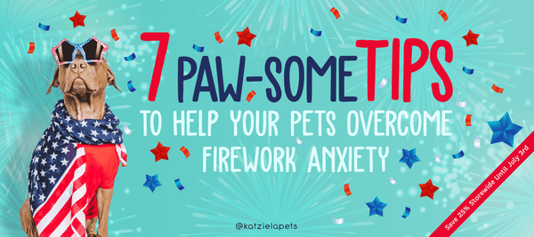 pet anxiety tips