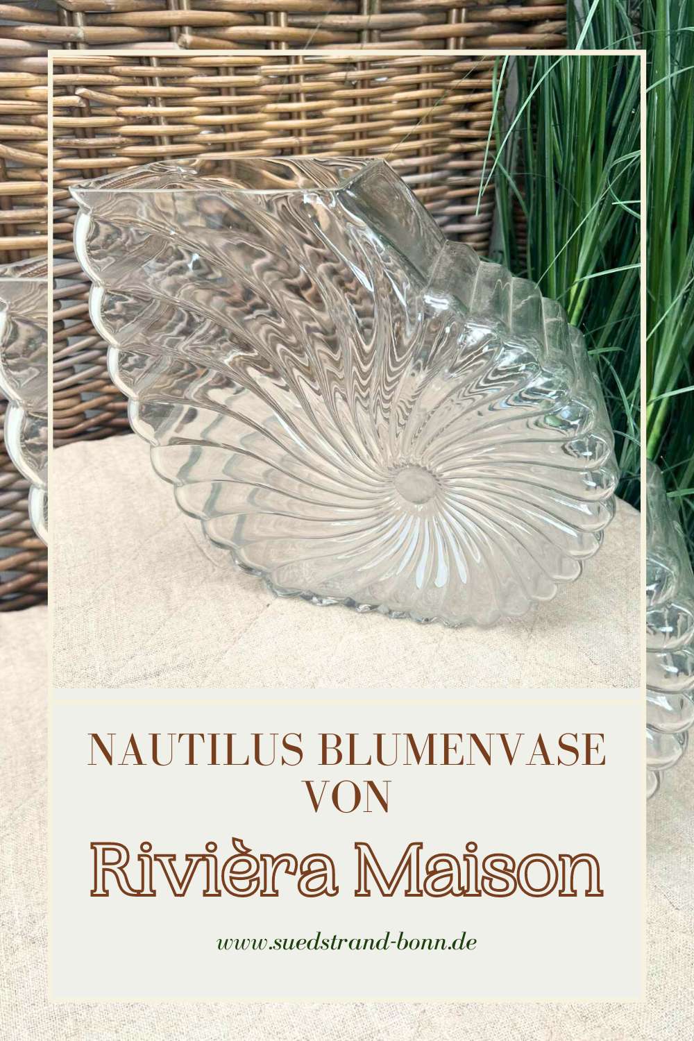 Die Da Capo Shell Vase ist eine Blumenvase in Nautilus Form