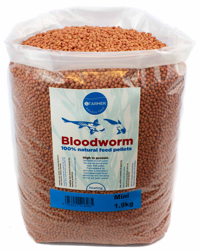 download bloodworm feeding