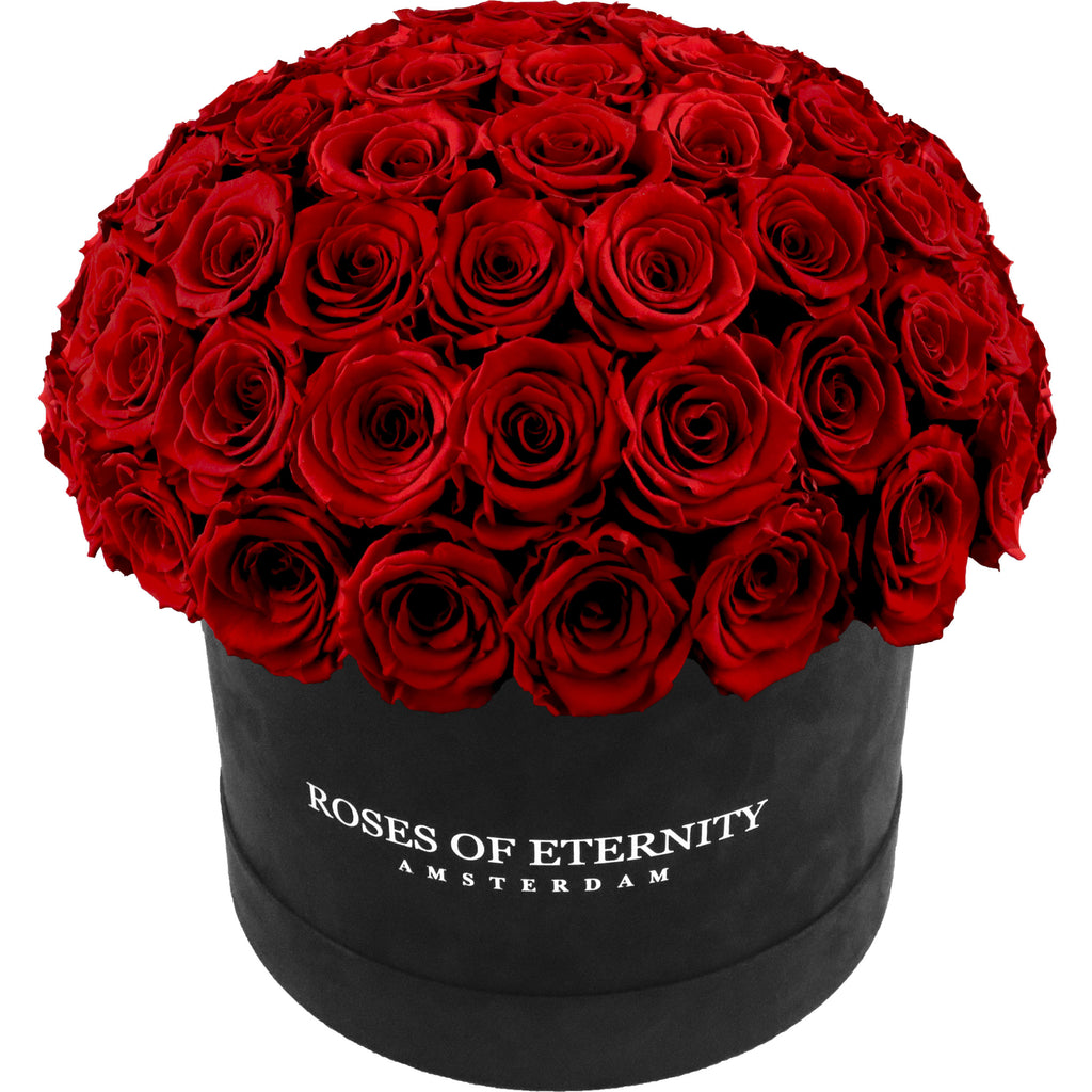 Permanent Intrekking vermomming Infinite Promise Dome L | Longlife rozen | Flowerbox | 3 jaar houdbaar –  RosesofEternity