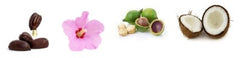 Hibiscus Body Butter Ingredients