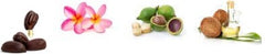 Plumeria Body Butter Ingredients