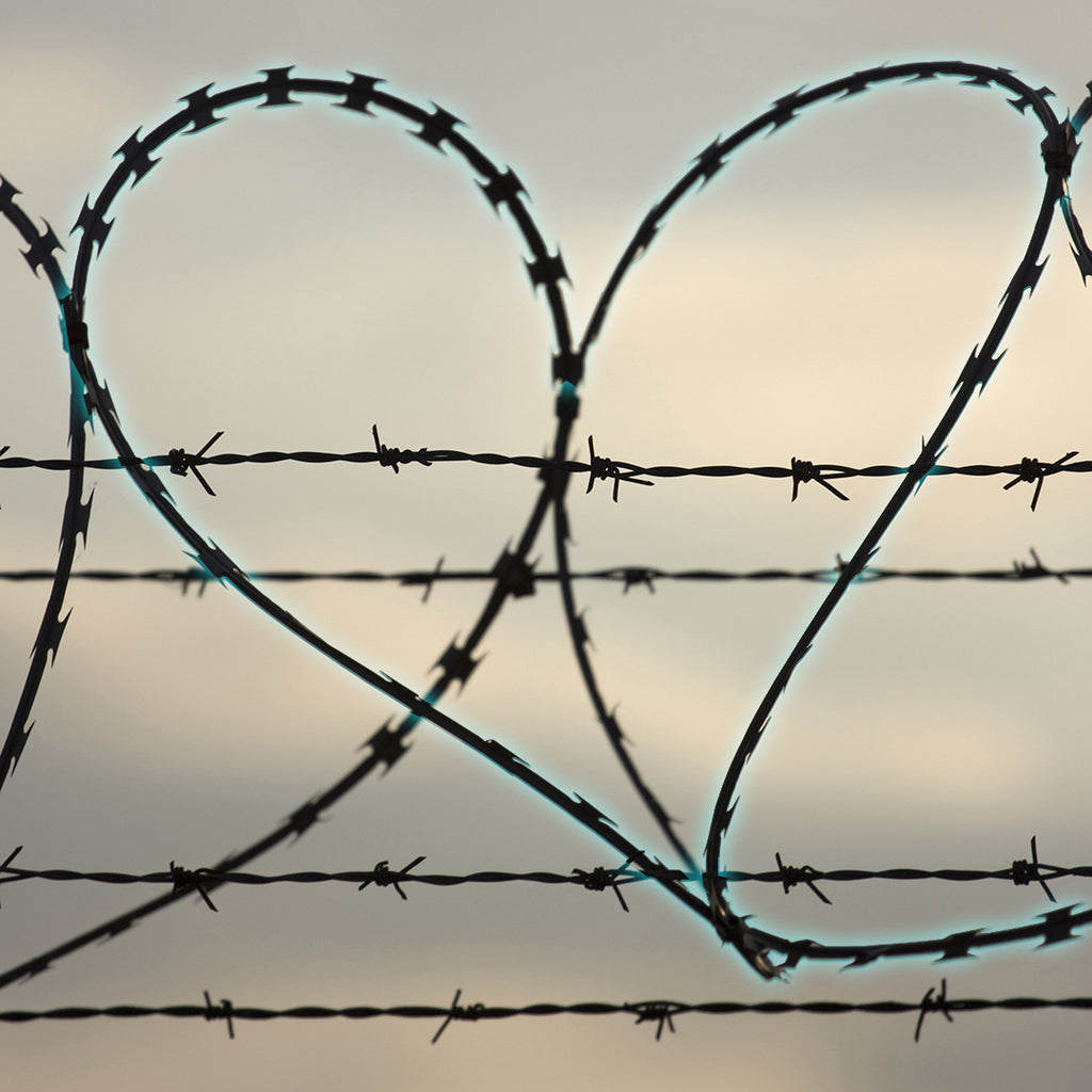 Barb Wire Heart