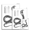 Cobra - Egyptian Zoology -  Framed Print