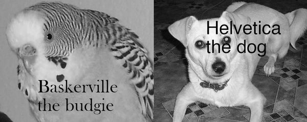 If Baskerville is a budgie, what kind of dog is Helvetica?