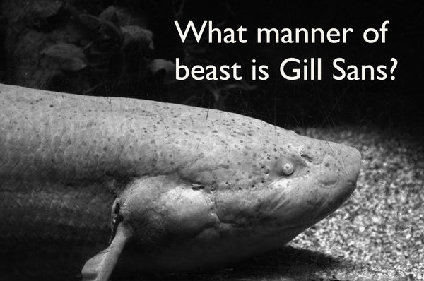 Gill Sans, the Humanist Lineal type - hard to classify like a fish with lungs