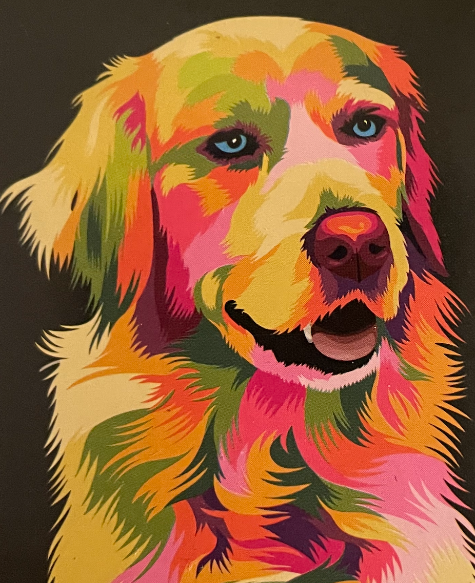 kennis Vochtig Onbevreesd Kleurrijke hond 40x50cm (Morgen in huis) | Diamond Painting Planet