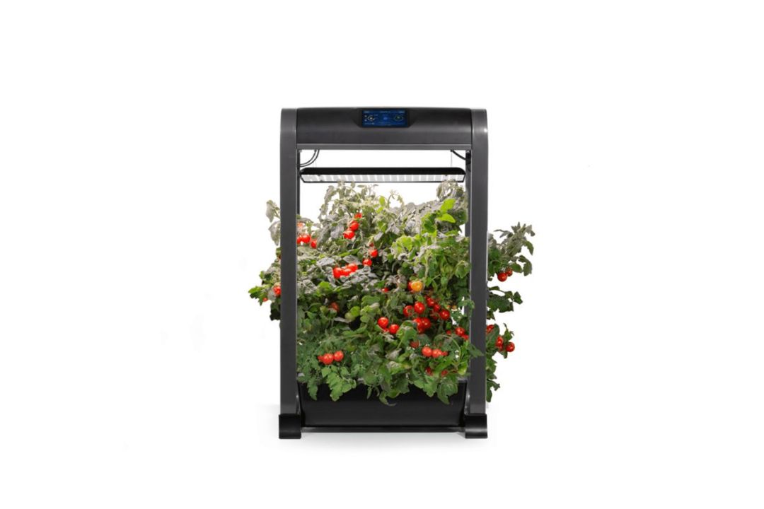 AeroGarden Farm 12