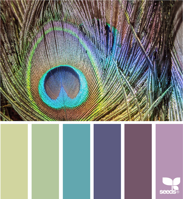 Design Seeds color palette