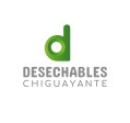 www.desechableschiguayante.cl