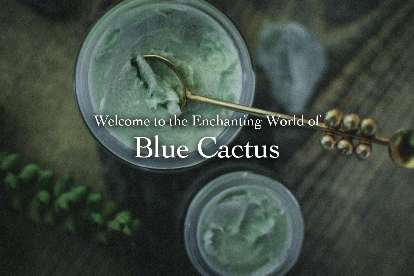 Welcome To The Enchanting World Of Blue Cactus Evanhealy