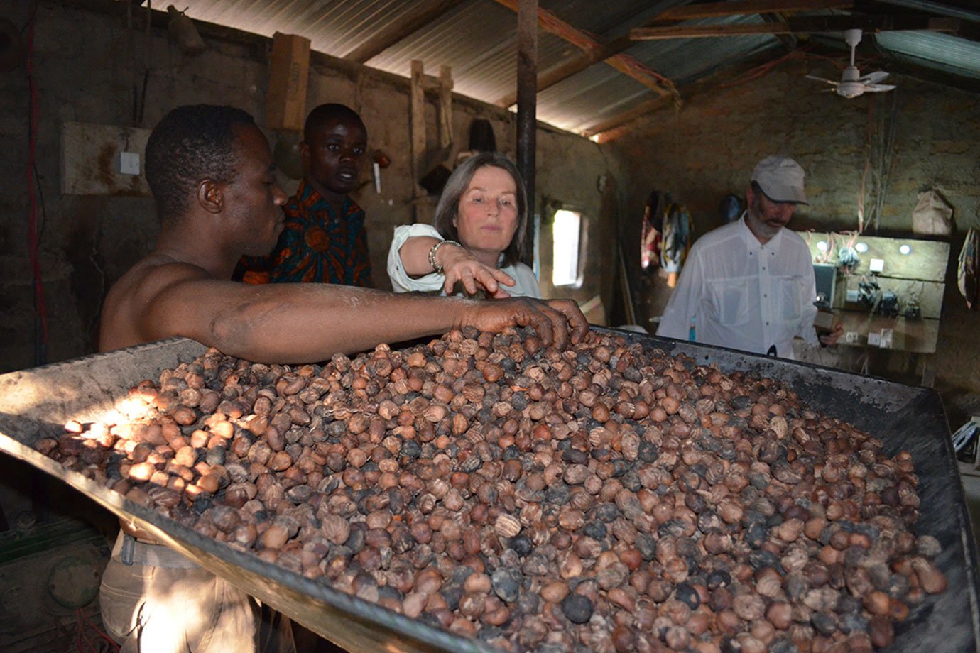 evanhealy shea nut sorting in kperisi village