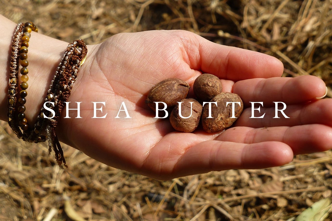 shea nut used for moroccan argan whipped body moisturizer