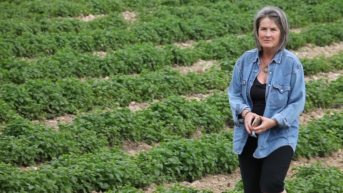 evan healy on co op farm in provence france