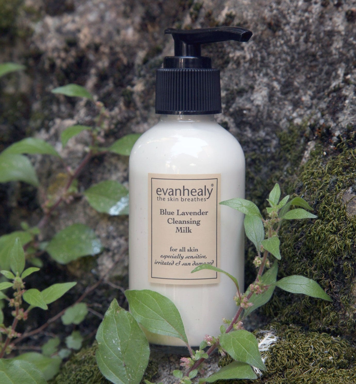 blue lavender cleansing milk in nature evanhealy