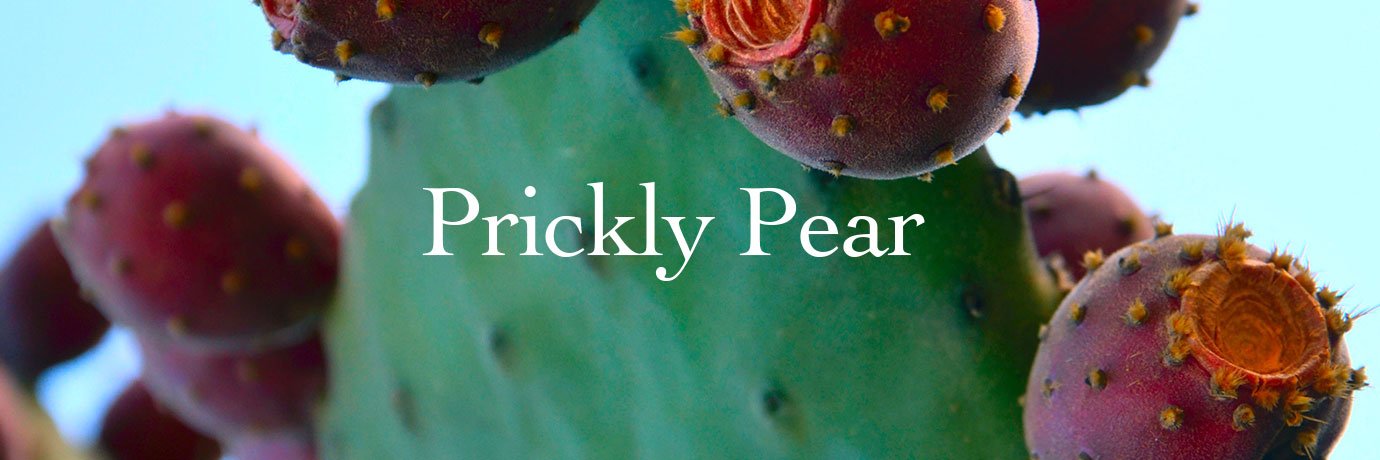 prickly pear seed oil